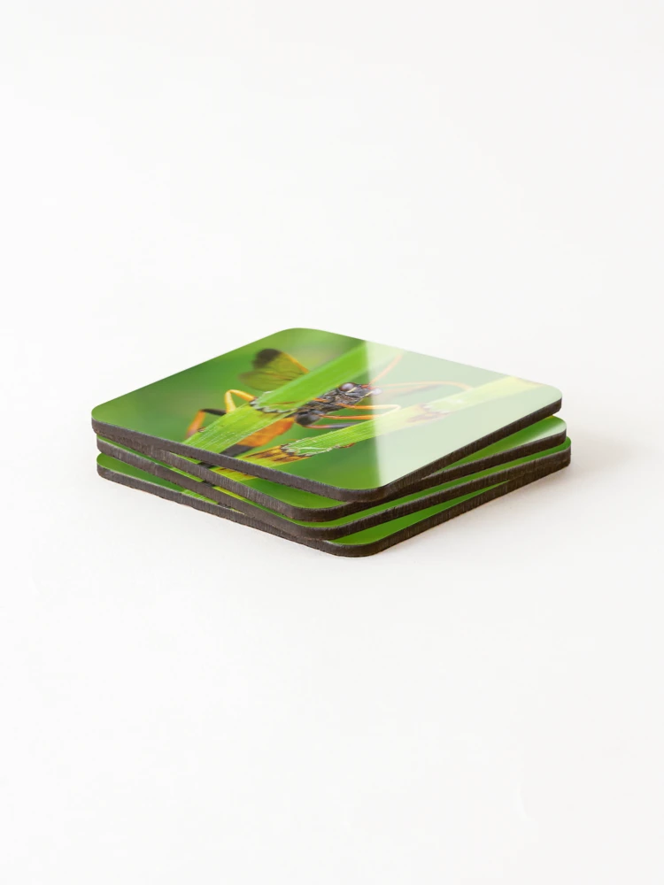 Thumbnail 4 of 5, Coasters (Set of 4), Behind Bars designed and sold by Ralph Goldsmith.
