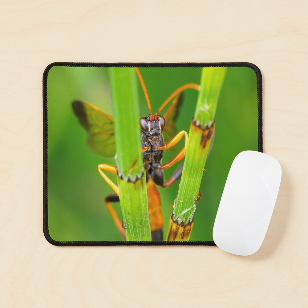 Item preview, Mouse Pad designed and sold by RalphGoldsmith.
