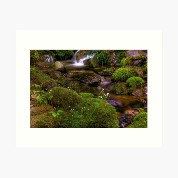 Item preview, Silk Cascades - Olympic Mountains National Park designed and sold by John Absher.