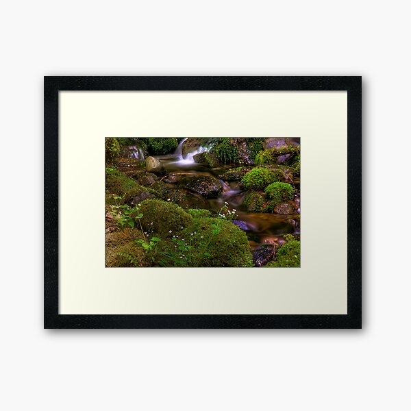 Item preview, Silk Cascades - Olympic Mountains National Park designed and sold by John Absher.