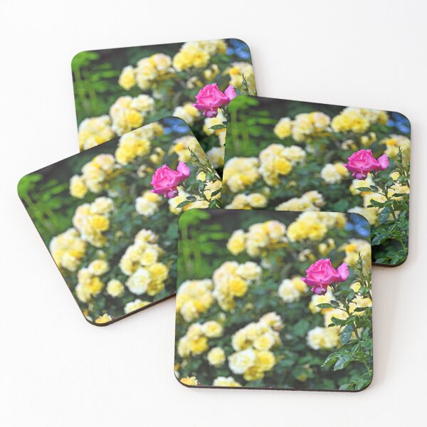 Item preview, Pink Rose flower in springtime, Volksgarten, Vienna, Austria designed and sold by goceris.