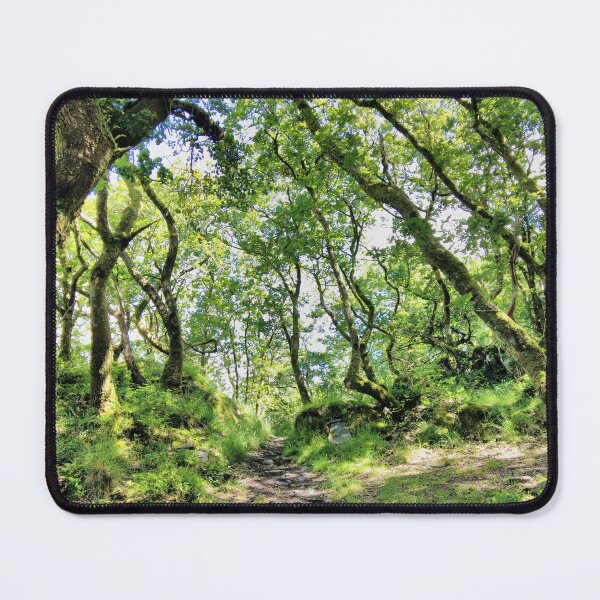Item preview, woodland  designed and sold by KathleenDawson.