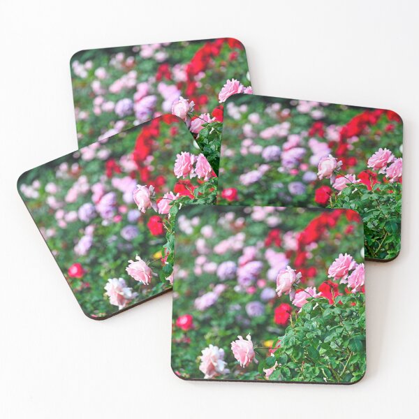 Item preview, Rose roses flower in springtime, Volksgarten, Vienna, Austria designed and sold by goceris.