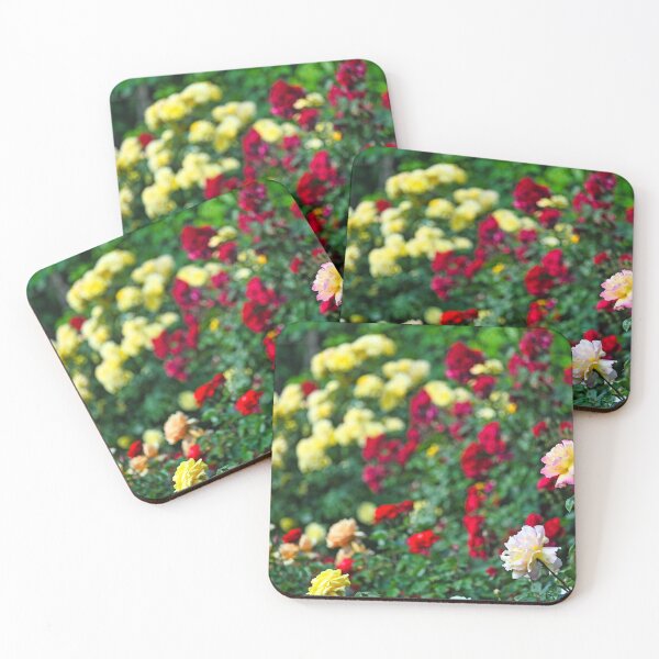 Item preview, Roses garden in springtime, Volksgarten, Vienna, Austria designed and sold by goceris.