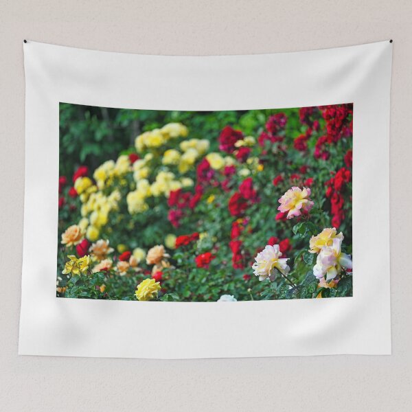 Item preview, Roses garden in springtime, Volksgarten, Vienna, Austria designed and sold by goceris.