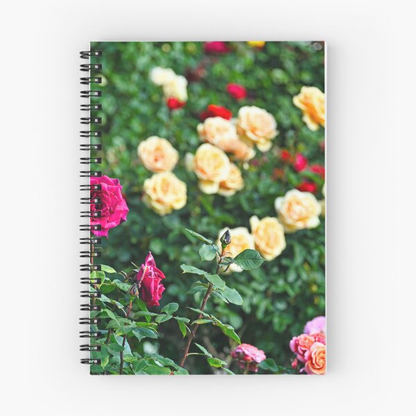 Item preview, Roses garden in springtime,Volksgarten,nature background, Vienna, Austria designed and sold by goceris.