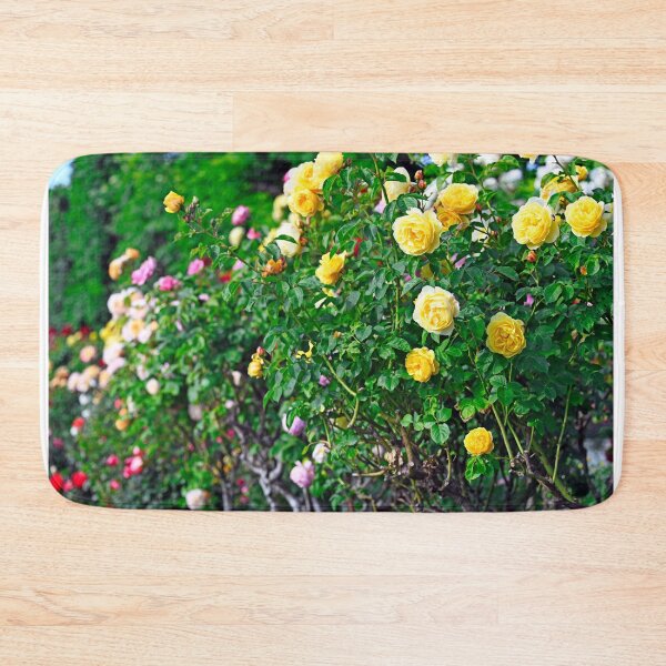 Item preview, Yellow roses garden in springtime, Volksgarten, Vienna, Austria designed and sold by goceris.