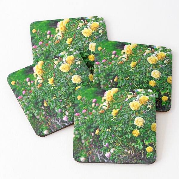 Item preview, Yellow roses garden in springtime, Volksgarten, Vienna, Austria designed and sold by goceris.