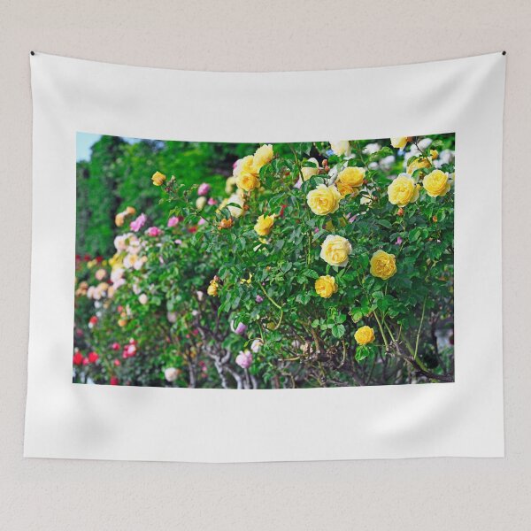 Item preview, Yellow roses garden in springtime, Volksgarten, Vienna, Austria designed and sold by goceris.