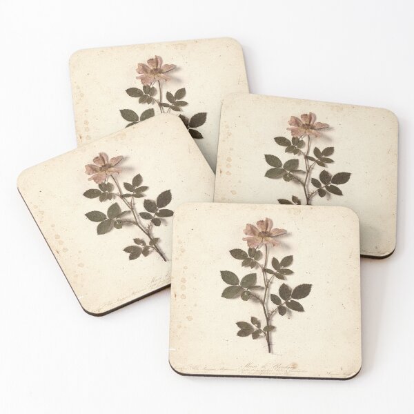 Item preview, Antique Pressed Wild Rose Botanical Plate designed and sold by PictorialWhimsy.