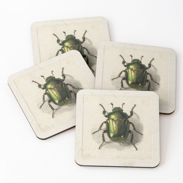 Item preview, Vintage Scarab Beetle Specimen Natural History Plate designed and sold by PictorialWhimsy.