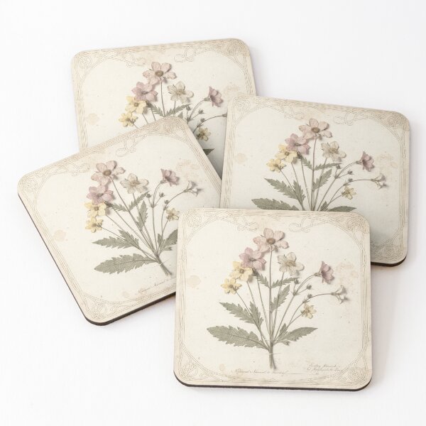Item preview, Antique Pressed Wildflower Botanical Plate designed and sold by PictorialWhimsy.