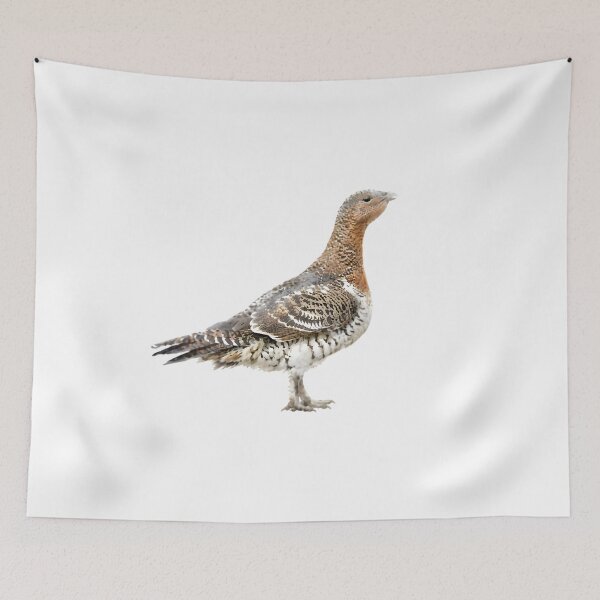 Item preview, Western Capercaillie (Tetrao urogallus) designed and sold by HOMETOWN86.