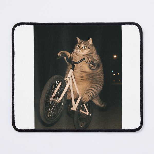 Item preview, Cute Cat On Bike Animal Funny Meme T-Shirt designed and sold by SavsMerch.