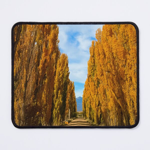 Item preview, Lombardy Poplar  designed and sold by kelliejane.