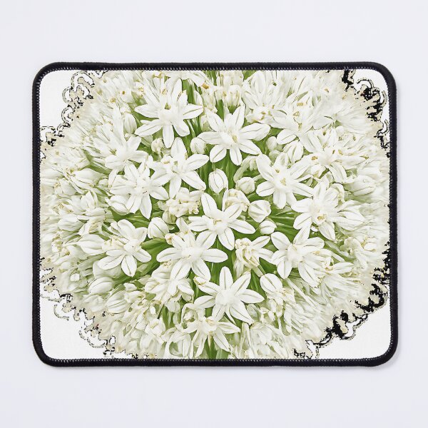 Item preview, White Allium Blossom Sphere   designed and sold by Jaideep Walia.