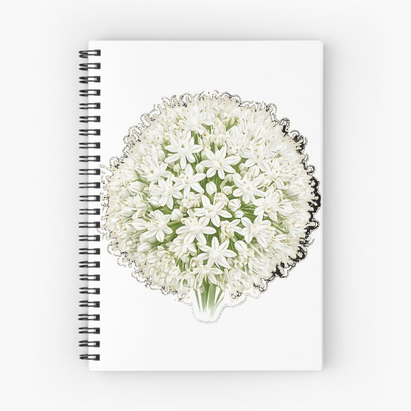 Item preview, White Allium Blossom Sphere   designed and sold by Jaideep Walia.