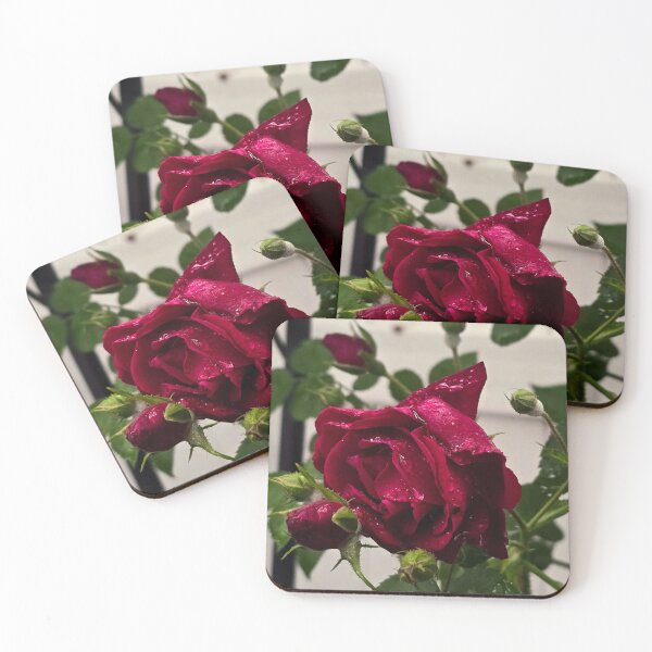 Item preview, Spring Dew Rose designed and sold by DSkainPhotos.