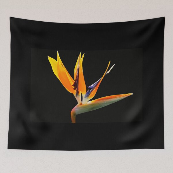 Item preview, Bird of Paradise  designed and sold by Emma Black.