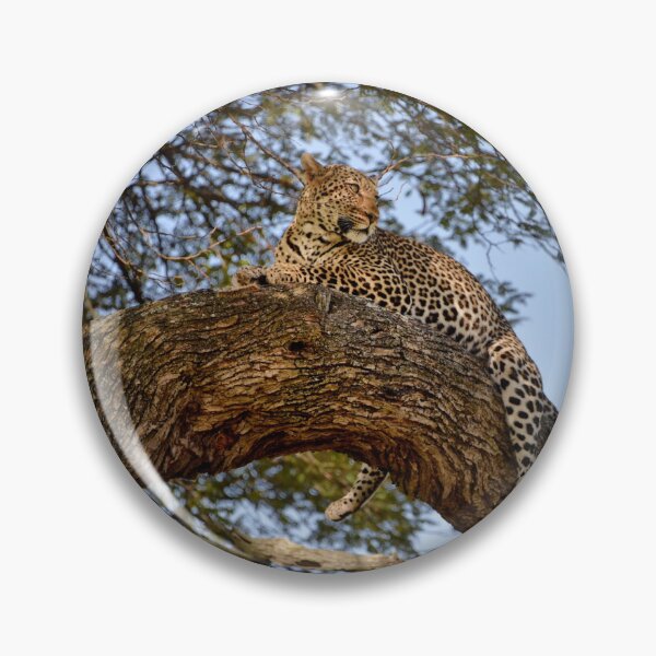 Item preview, Leopard in a tree designed and sold by kelliejane.