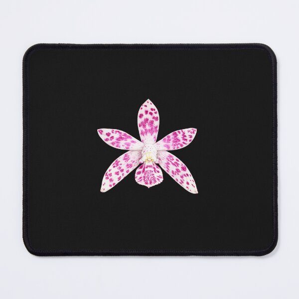 Item preview, Hyacinth orchid designed and sold by BlueBandedBee94.