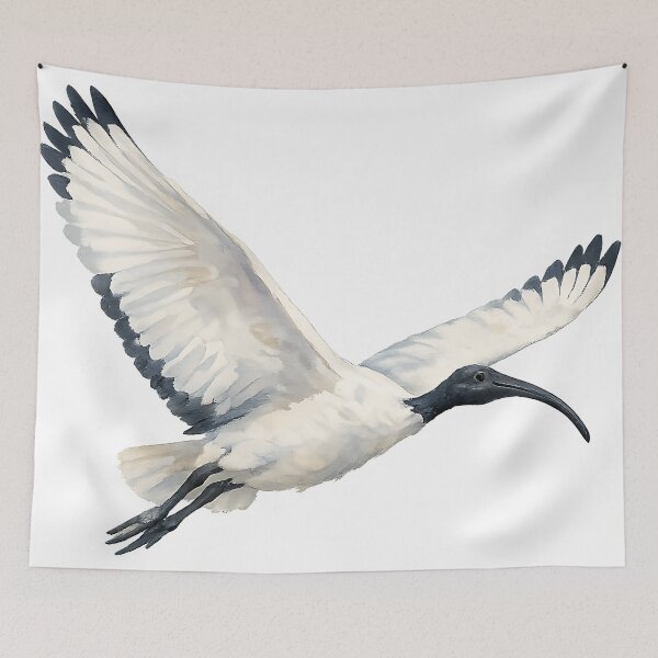 Item preview, Australian White Ibis in Flight — Watercolour designed and sold by Jaruart.