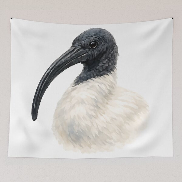Item preview, White Ibis Portrait — Watercolour Illustration designed and sold by Jaruart.
