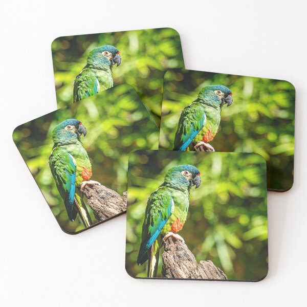 Item preview, Brazil Parrot Photo Print – Tropical Bird Wall Art – Colorful Rainforest Photography designed and sold by Craig Bernstein.
