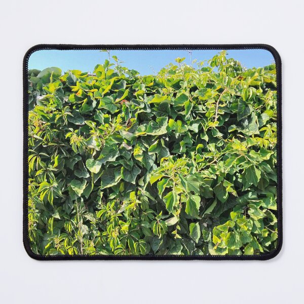 Item preview, Plant hedge designed and sold by DreamsVisions.