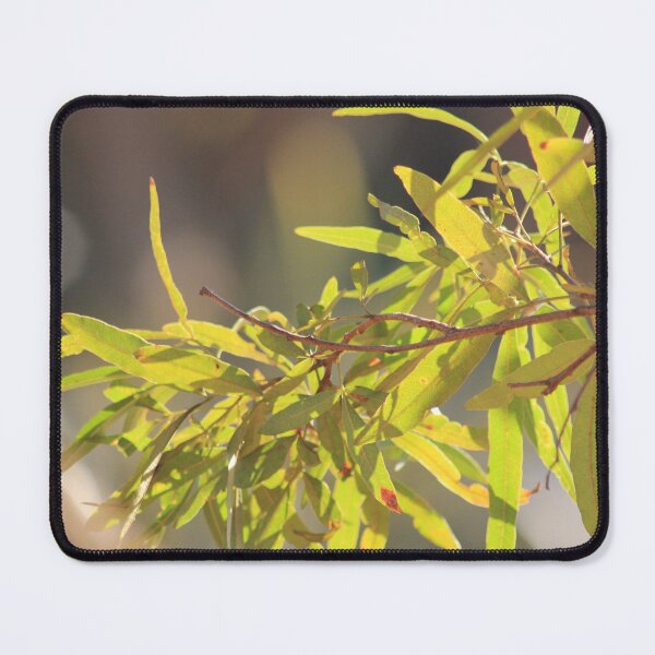 Item preview, Learning to see ... designed and sold by Maree Clarkson .