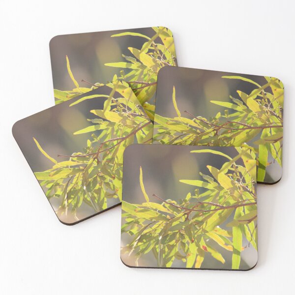 Item preview, Aprendiendo a ver... designed and sold by Maree Clarkson .