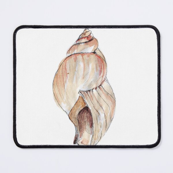 Item preview, Stepped Plough Shell (Bullia annulata) designed and sold by Maree Clarkson .
