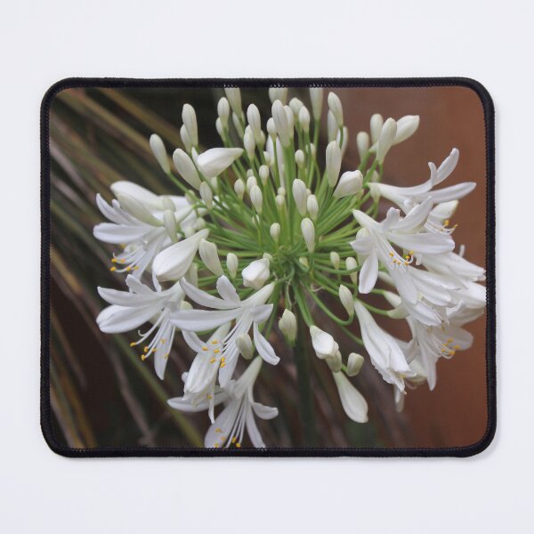 Item preview, My first White designed and sold by Maree Clarkson .
