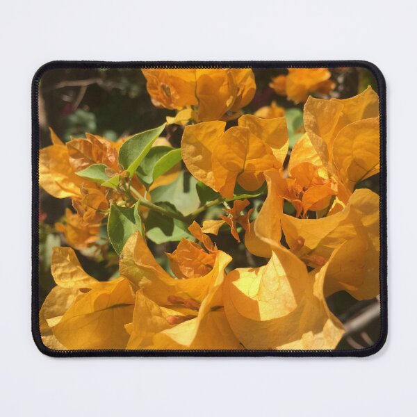 Item preview, Bougainvillea beauty designed and sold by Maree Clarkson .