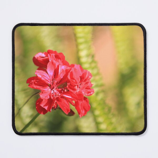 Item preview, Perfect conditions to bloom designed and sold by Maree Clarkson .