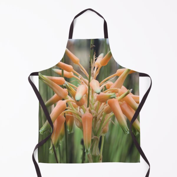 Artikelvorschau, Aloe Cooperi - Blume entworfen und verkauft von Maree Clarkson .