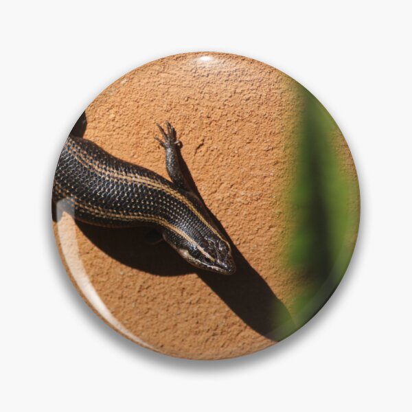Item preview, Eslizón rayado africano (Trachylepsis striata) designed and sold by Maree Clarkson .