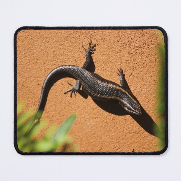 Item preview, African Striped Skink (Trachylepsis striata) designed and sold by Maree Clarkson .