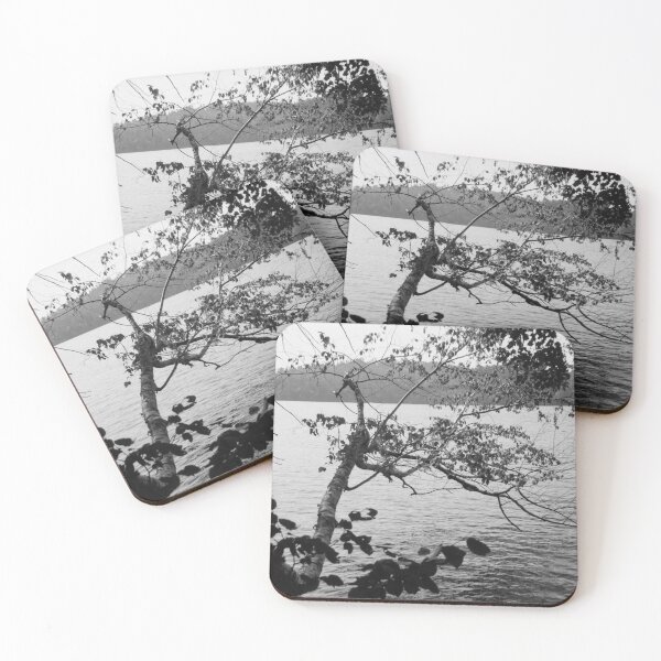 Item preview, Squam Lake Tree onto Lake designed and sold by rhodeyart.