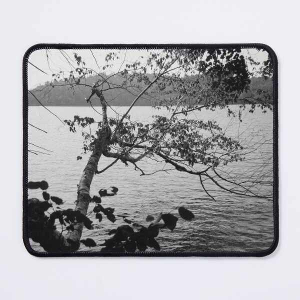 Item preview, Squam Lake Tree onto Lake designed and sold by rhodeyart.