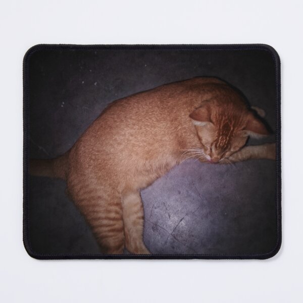 Item preview, Retro Vintage Film Aesthetic Orange Ginger Cat designed and sold by UltarOutfit.