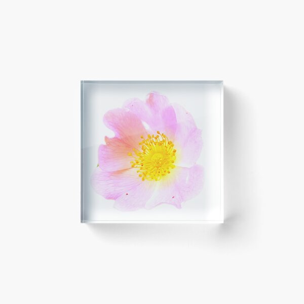Item preview, Pink flowers designed and sold by Pablox00.
