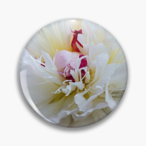 Item preview, White Peonies designed and sold by JeanKellyPhoto.