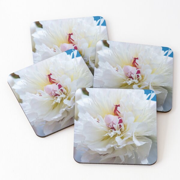 Item preview, White Peonies designed and sold by JeanKellyPhoto.