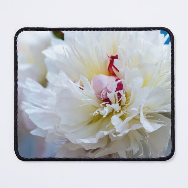 Item preview, White Peonies designed and sold by JeanKellyPhoto.