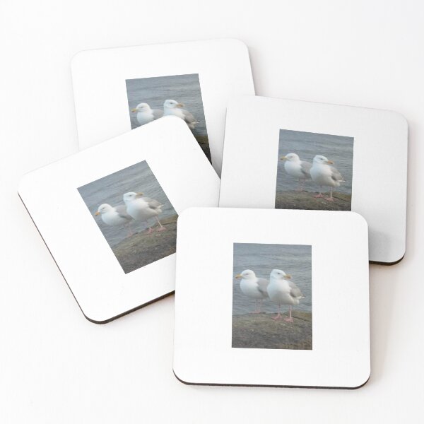 Item preview, Seagulls designed and sold by LeesMegamerch.