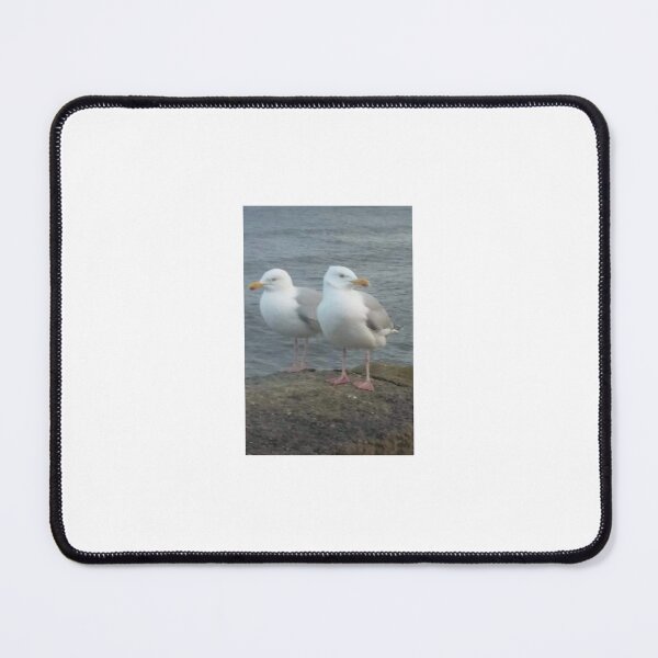 Item preview, Seagulls designed and sold by LeesMegamerch.