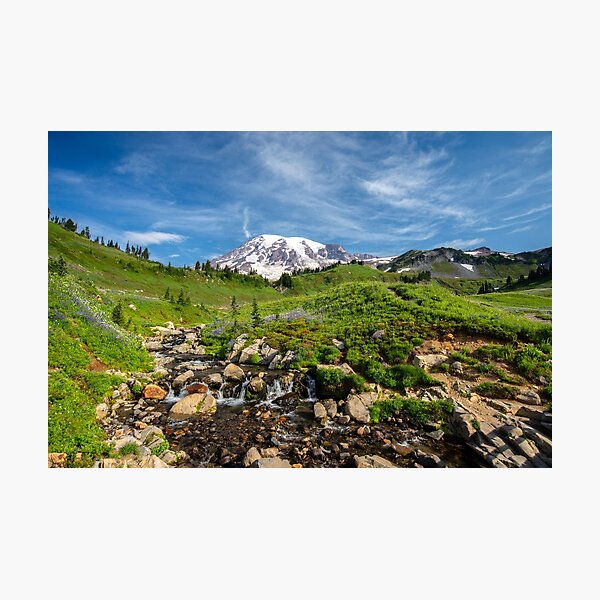 Item preview, Field & Stream designed and sold by CopperSkyPhoto.
