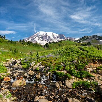 Artwork thumbnail, Field & Stream by CopperSkyPhoto