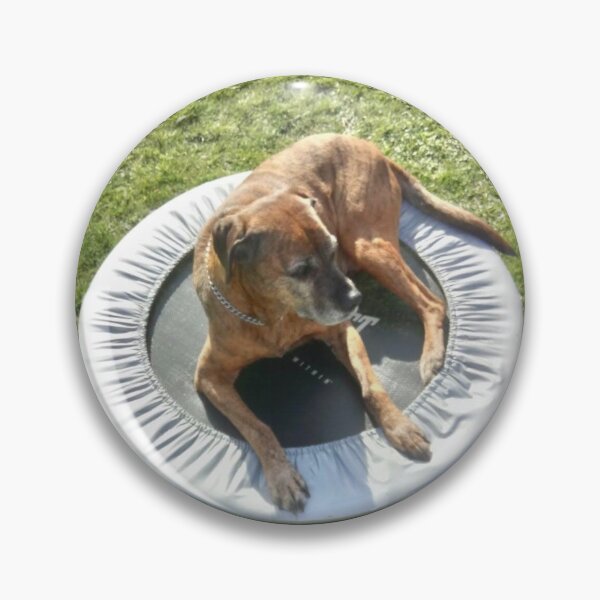 Item preview, Dog on the trampoline designed and sold by LeesMegamerch.
